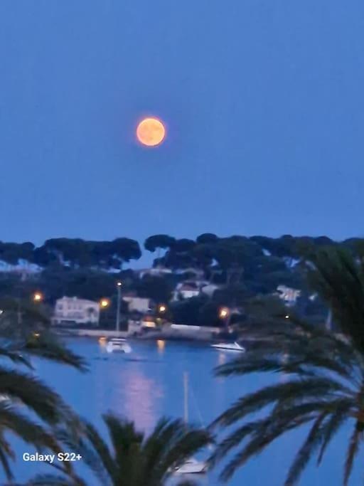 Cozy Studio, Sea View, Old Town, Near Beaches Antibes Exteriör bild