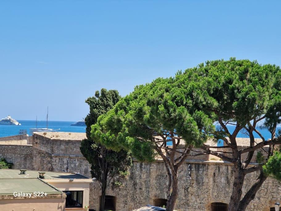 Cozy Studio, Sea View, Old Town, Near Beaches Antibes Exteriör bild