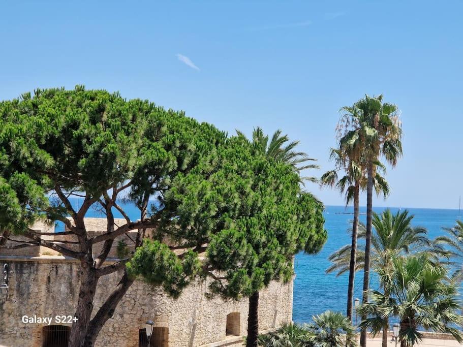 Cozy Studio, Sea View, Old Town, Near Beaches Antibes Exteriör bild